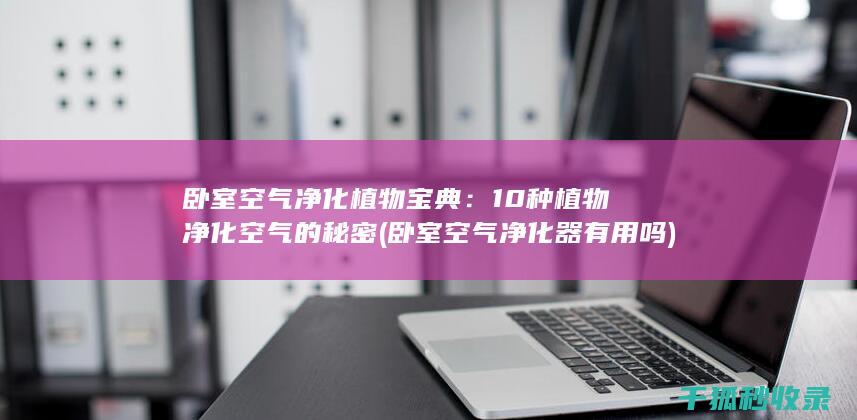 卧室空气净化植物宝典：10种植物净化空气的秘密 (卧室空气净化器有用吗)