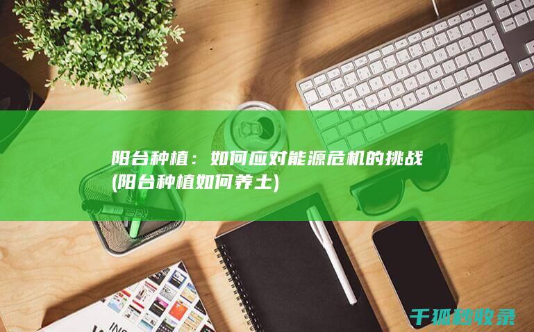 阳台种植