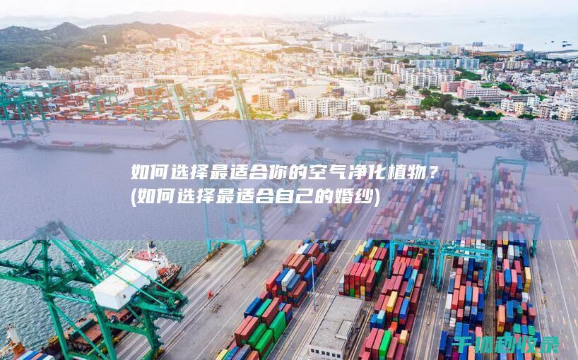 如何选择最适合你的空气净化植物？ (如何选择最适合自己的婚纱)