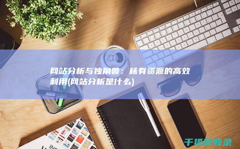 网站分析与独角兽：稀有资源的高效利用 (网站分析是什么)